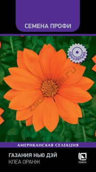 gazania_new_day_clear_orange
