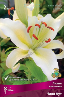 liliya_vost_chill_out_kaper