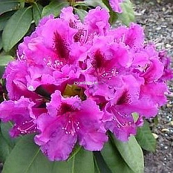 Изображение загружено обработкой по данным файла Excel