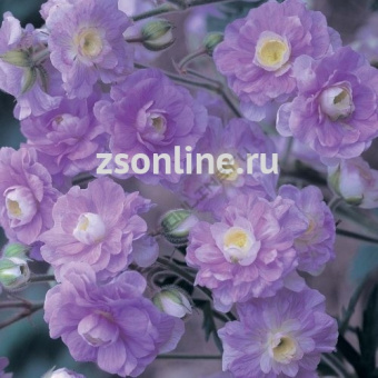 Изображение загружено обработкой по данным файла Excel