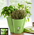 Кашпо на 3 цветка FRESH HERBS с индикатором уровня воды зеленый 27/25/21см
