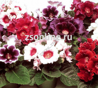 Изображение загружено обработкой по данным файла Excel