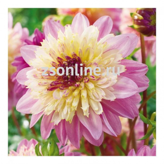 Изображение загружено обработкой по данным файла Excel