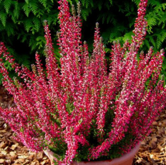 f480d05f95a22b0f20127358c1811a03