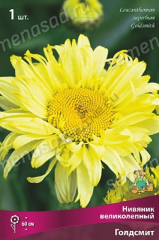 Нивяник великолепный Голдсмит/К