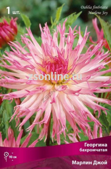 Изображение загружено обработкой по данным файла Excel