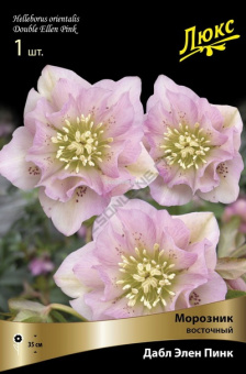 Изображение загружено обработкой по данным файла Excel