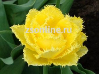 Изображение загружено обработкой по данным файла Excel