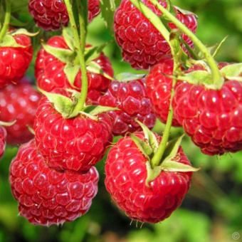 b53e603561a3b359ef0fe4490123