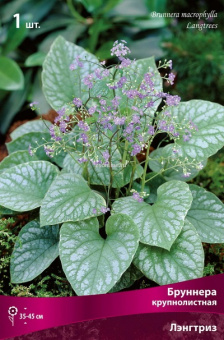 Изображение загружено обработкой по данным файла Excel