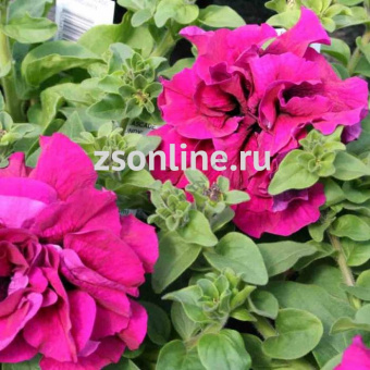 Изображение загружено обработкой по данным файла Excel