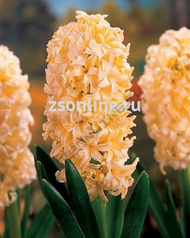 Изображение загружено обработкой по данным файла Excel