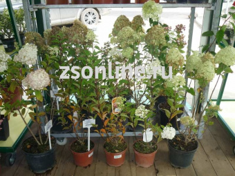 Изображение загружено обработкой по данным файла Excel