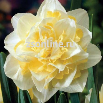 Изображение загружено обработкой по данным файла Excel