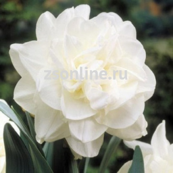 Изображение загружено обработкой по данным файла Excel