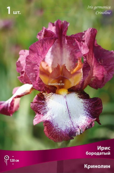 Изображение загружено обработкой по данным файла Excel