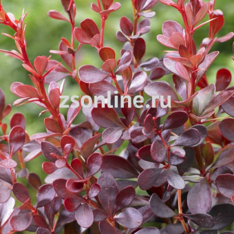 Изображение загружено обработкой по данным файла Excel