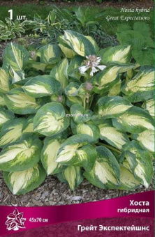 Изображение загружено обработкой по данным файла Excel