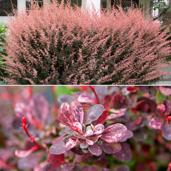 НоменклатураПрисоединенныеФайлы