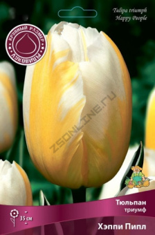 Тюльпан Триумф Хэппи Пипл, белый, с жёлтым перьеобразным рисунком от основания до кончика, 5 шт