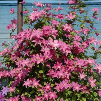 Изображение загружено обработкой по данным файла Excel