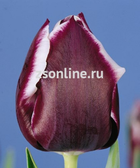 Изображение загружено обработкой по данным файла Excel