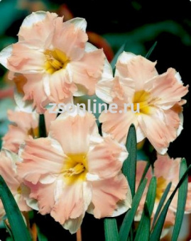 Изображение загружено обработкой по данным файла Excel