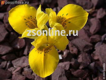 Изображение загружено обработкой по данным файла Excel