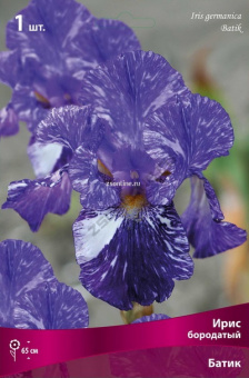 Изображение загружено обработкой по данным файла Excel