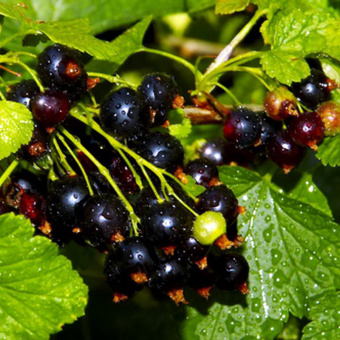 e5c0445e9f338544a852d05efd7f7269