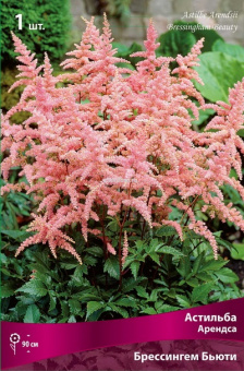 Изображение загружено обработкой по данным файла Excel