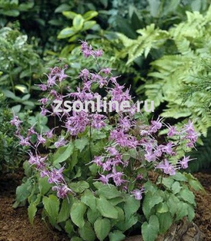 Изображение загружено обработкой по данным файла Excel