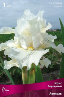 Ирис бородатый в асс.V1,5л