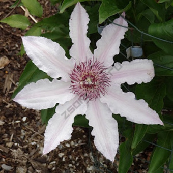 Изображение загружено обработкой по данным файла Excel