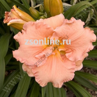 Изображение загружено обработкой по данным файла Excel