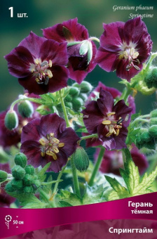 Изображение загружено обработкой по данным файла Excel