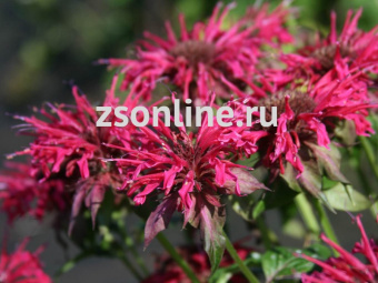 Изображение загружено обработкой по данным файла Excel