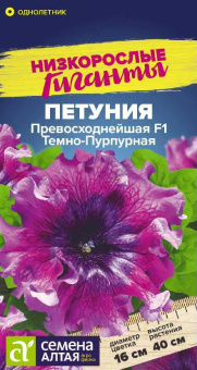 Петуния Превосходнейшая Темно-пурпурная