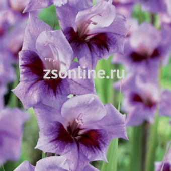 Изображение загружено обработкой по данным файла Excel