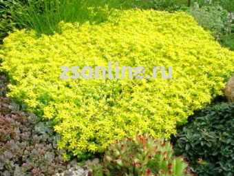 Изображение загружено обработкой по данным файла Excel