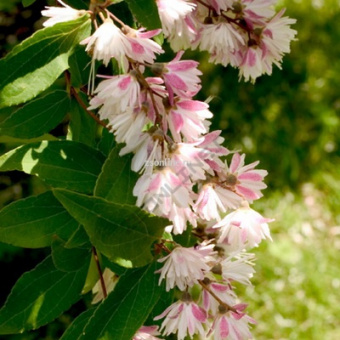 Изображение загружено обработкой по данным файла Excel