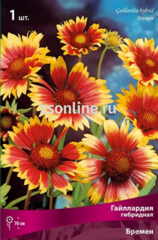 Изображение загружено обработкой по данным файла Excel