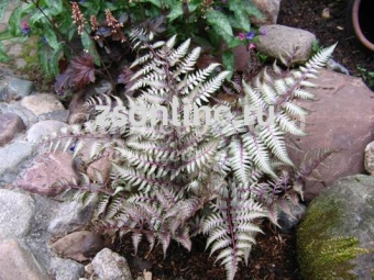 Изображение загружено обработкой по данным файла Excel