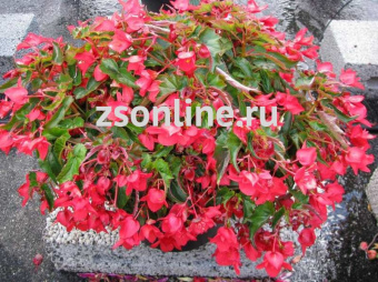 Изображение загружено обработкой по данным файла Excel