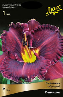 Изображение загружено обработкой по данным файла Excel