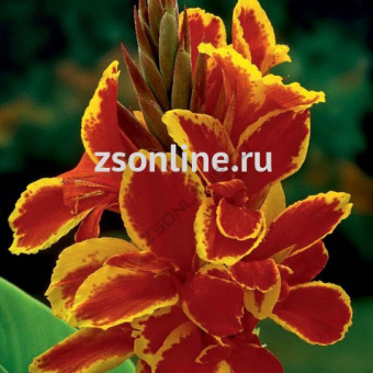 Изображение загружено обработкой по данным файла Excel