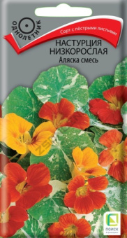 nastrucia_nizkorosl_alyaska_smes