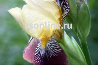 Изображение загружено обработкой по данным файла Excel