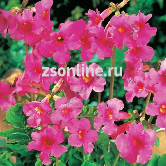 Изображение загружено обработкой по данным файла Excel