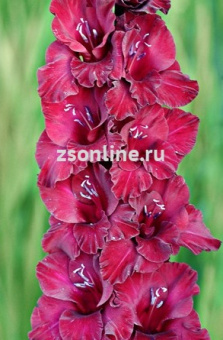 Изображение загружено обработкой по данным файла Excel